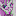 Favicon for Tumblr