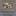 Favicon for YOOOO BANDCAMP