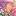 Favicon for Tumblr