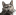 Favicon for Official site (under construction)