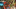 Favicon for Main website