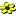 Favicon for Flowers