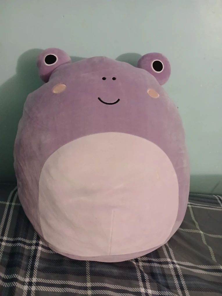 iu_1393772_3992786.webp