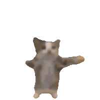 iu_1394443_23563917.gif