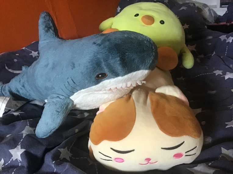 iu_1395417_9250481.webp