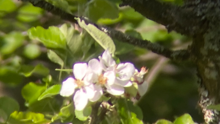 iu_1396856_20291846.png