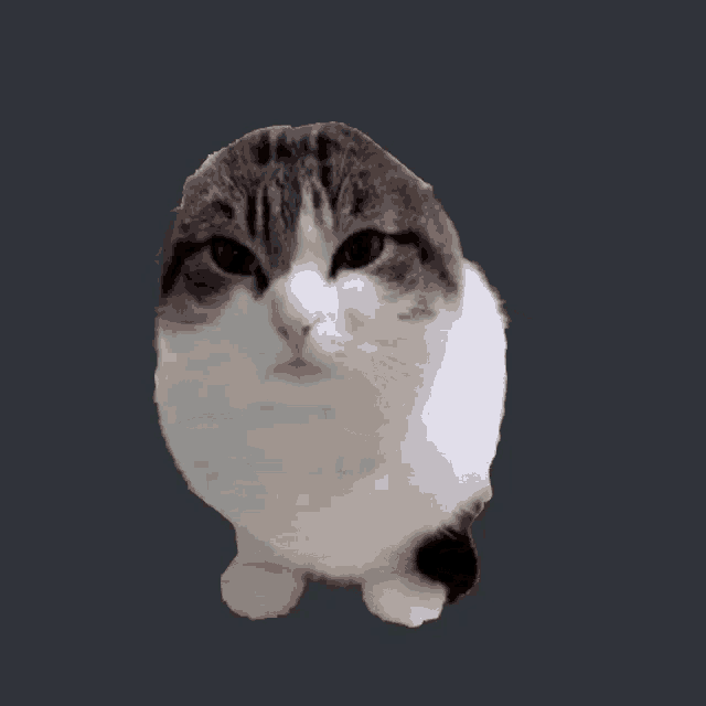 iu_1399302_9045889.gif