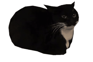 iu_1399412_9727862.gif