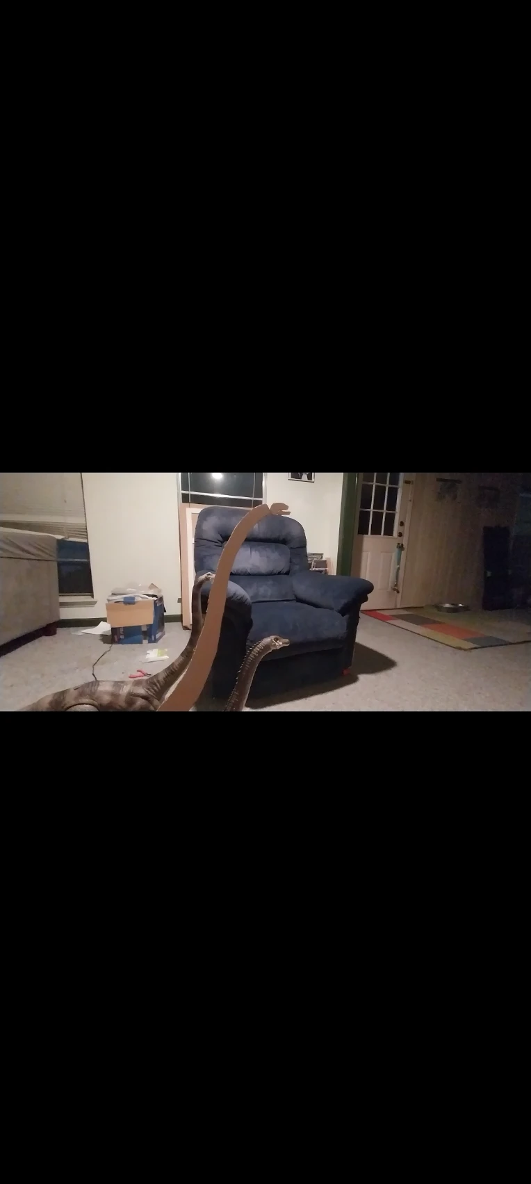 iu_1403522_22443364.webp