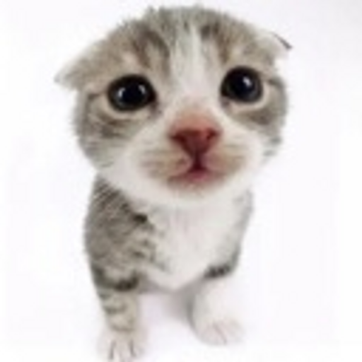 iu_1409271_9273743.png