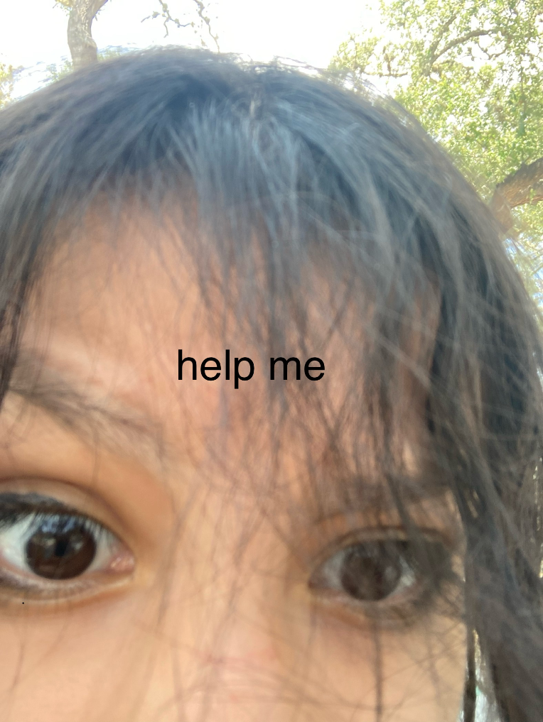 iu_1410645_15738441.png