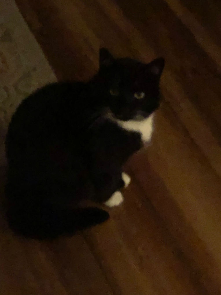 iu_1412129_22227170.png