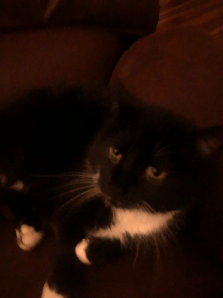 iu_1412130_22227170.png