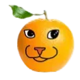 iu_1414080_18226363.png