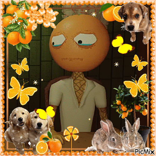 iu_1415027_9882125.gif