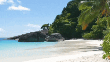 iu_1417874_17044918.gif