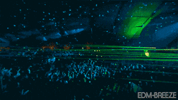 iu_1419833_25993500.gif