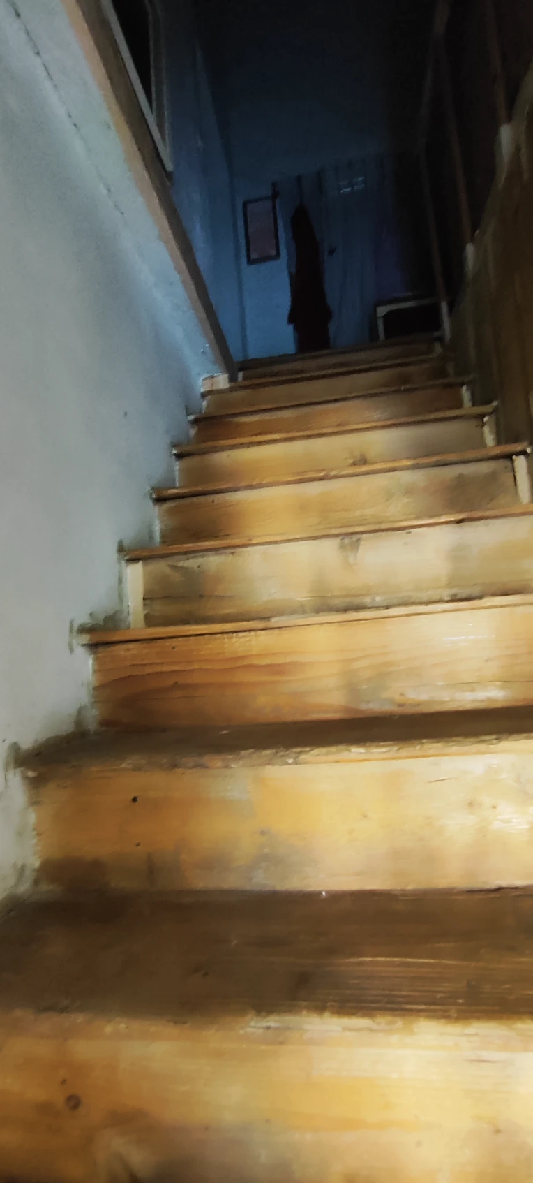 iu_1421645_26313830.webp