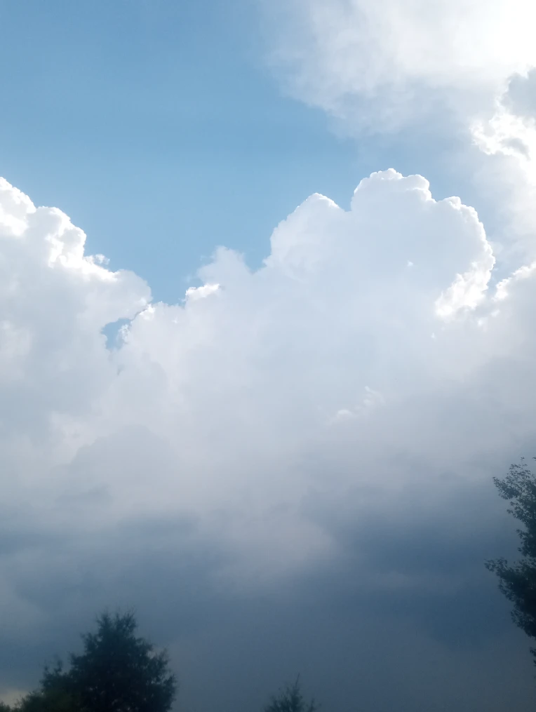 iu_1422975_9133341.webp