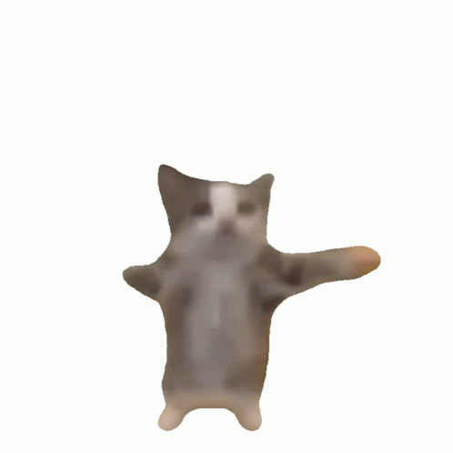 iu_1426408_23563917.gif