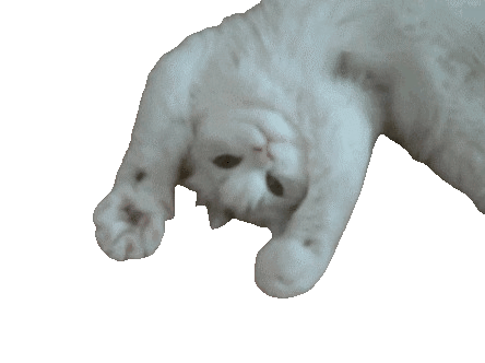 iu_1428811_23563917.gif