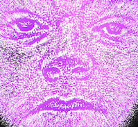 iu_1431123_9250481.png