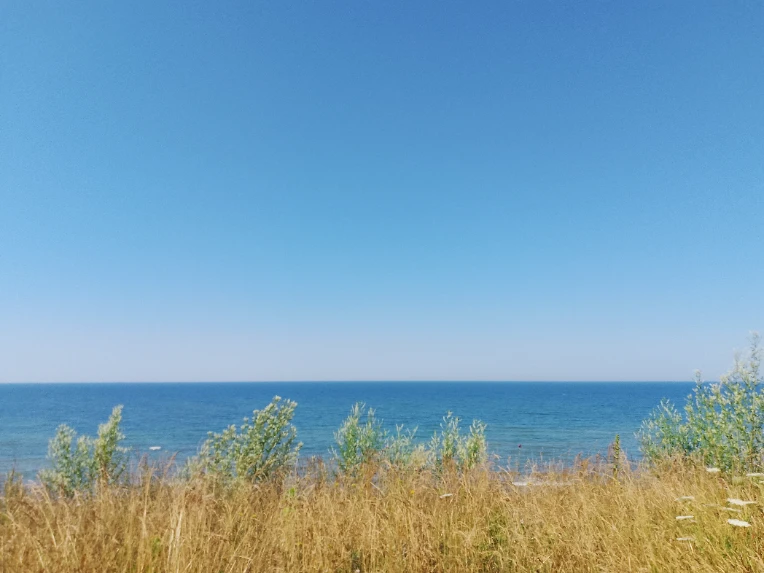iu_1432299_22234398.webp