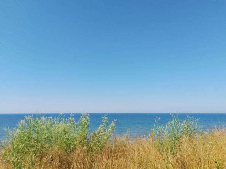 iu_1432300_22234398.webp