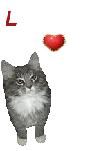 iu_1436856_15324930.gif