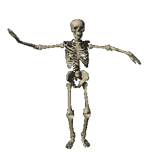 iu_1437284_1658435.gif