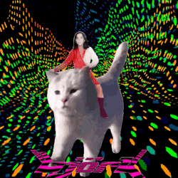 iu_1439218_17850743.gif