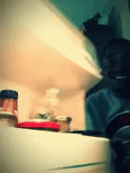 iu_1442004_7581126.gif