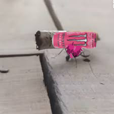 iu_1452023_26617098.png