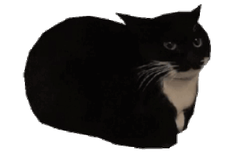 iu_1453294_23563917.gif