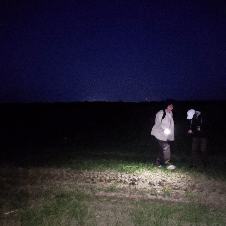 iu_1456979_26315729.webp