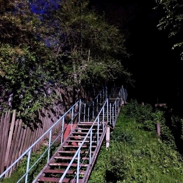 iu_1456981_26315729.webp