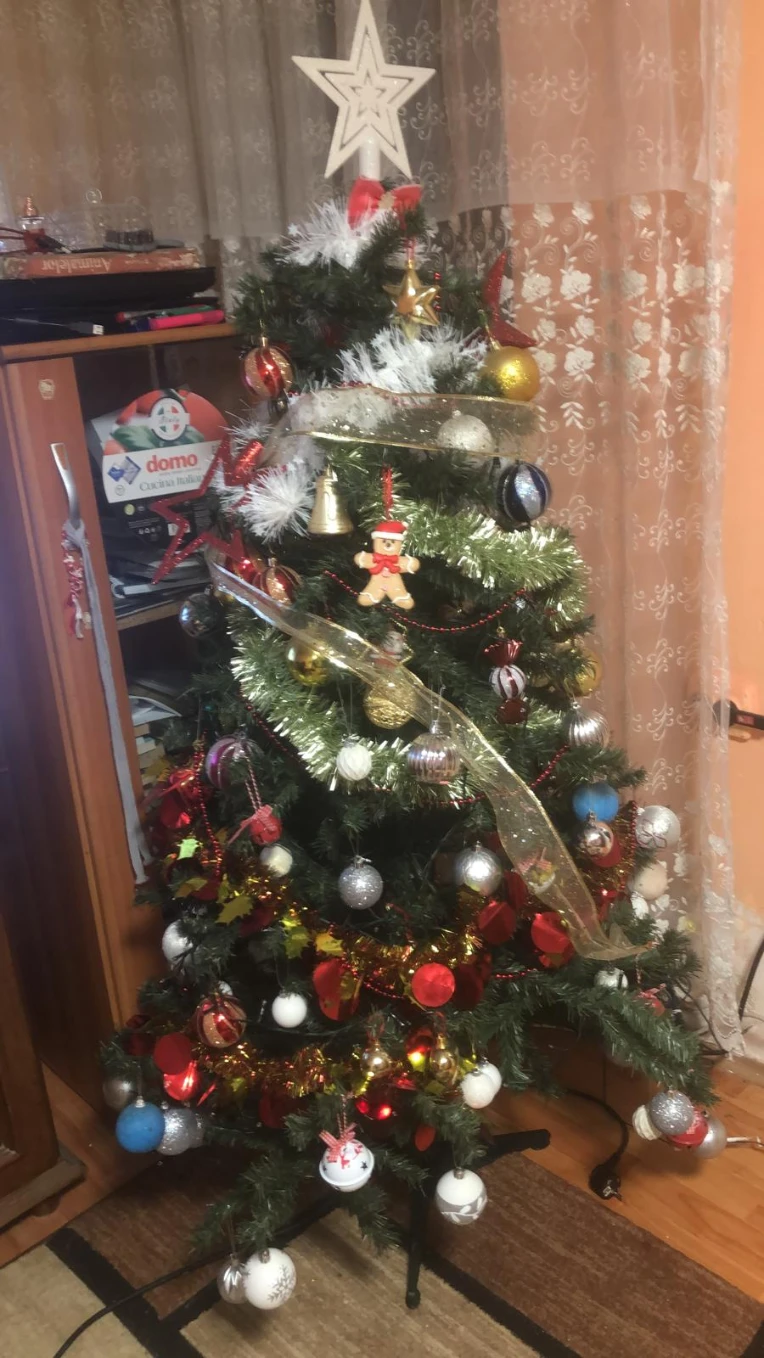 iu_1512254_22826527.webp