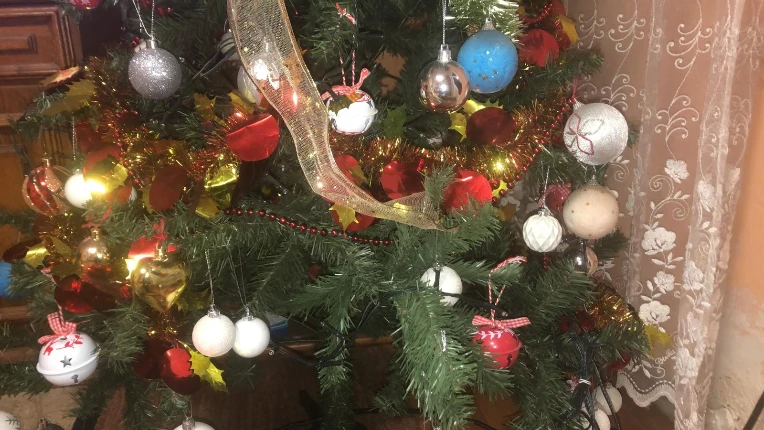 iu_1512255_22826527.webp
