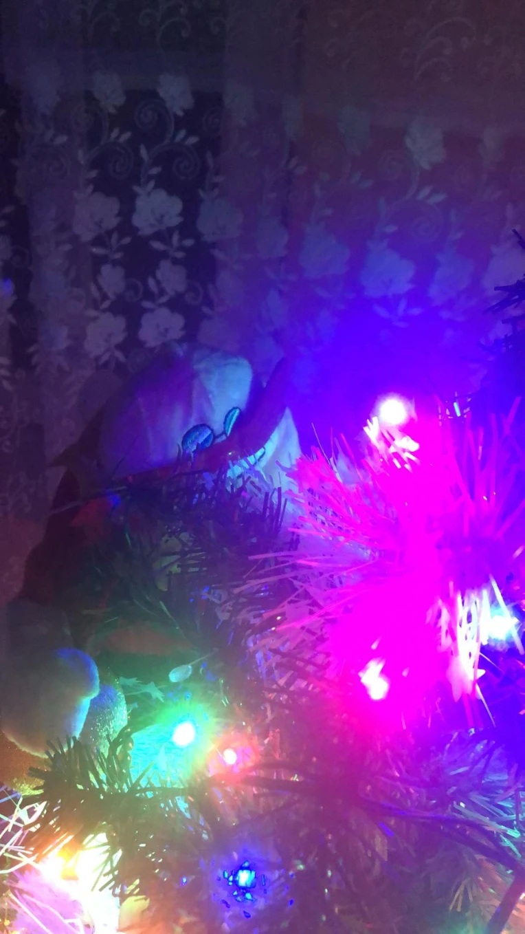 iu_1512256_22826527.webp