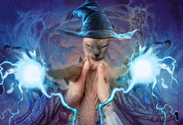 Cat wizard and doodles 2026 by Morpherence on Newgrounds