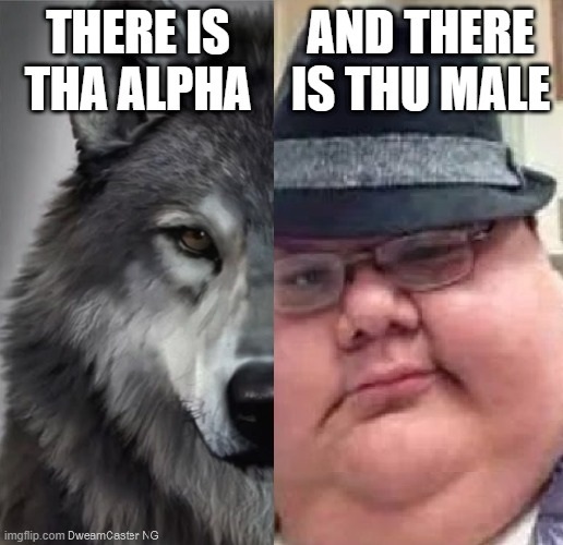 very silly meme i made - by DweamCaster