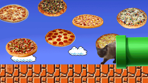 iu_1653053_8670641.gif