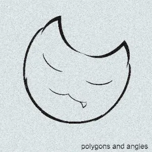 ic-koomotey - polygons and angles