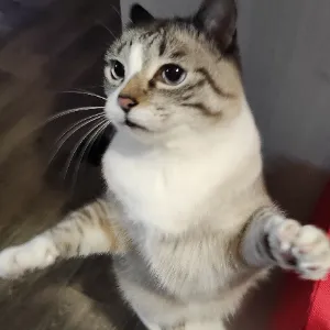 Collabs that i Joined