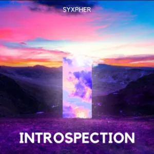 Introspection