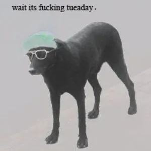 Takeover Tueaday